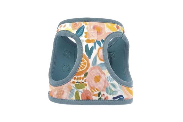 PETTORINA MOTIF BLOSSOM XS 25-29CM