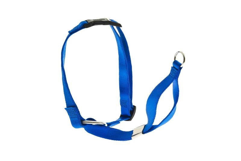 FERRIBIELLA MUSERUOLA D'ADDESTRAMENTO TG. L (50-68 CM. / 27 CM.) ROSSA