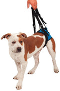 KVP SUPPORTO SOSPENSORE POSTERIORE TG. XL (84-94 CM.)