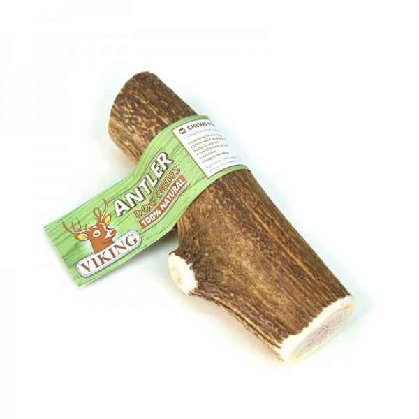 VIKING CORNA DI CERVO APERTA TG. XXL (>250 GR.)