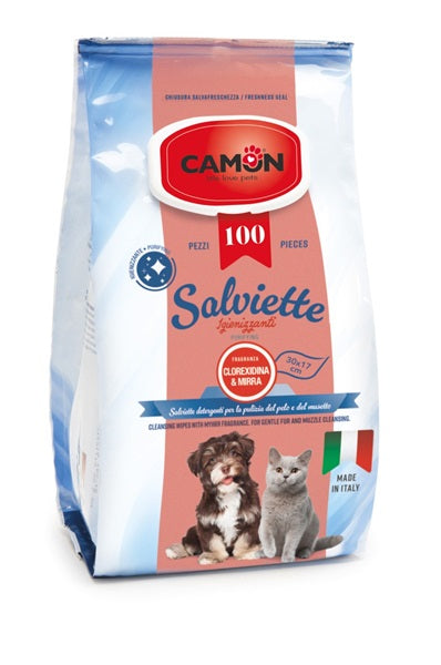 CAMON SALVIETTE DETERGENTI MIRRA & CLOREXIDINA 100 PZ.