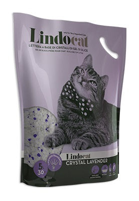 Danea CRYSTAL LAVANDA 5 LT