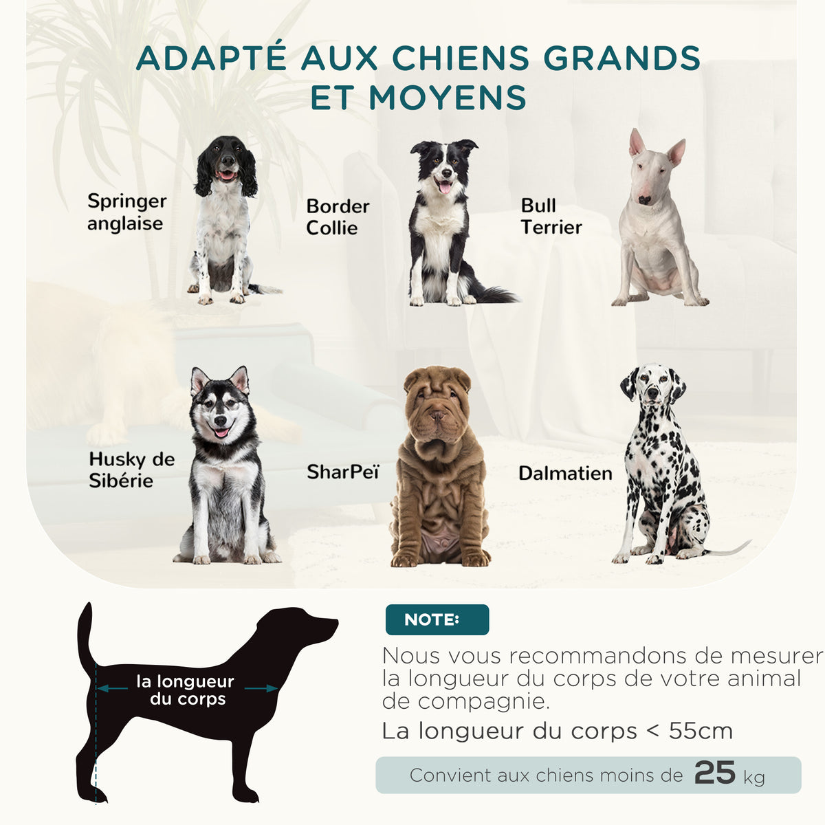Canapé pour chien chat design scandinave coussin moelleux amovible pieds bois massif 100 x 62 x 32 cm bleu canard-3