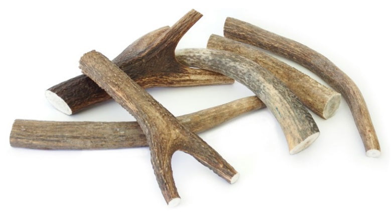 FERRIBIELLA CORNA DI CERVO TG. L (76-150 GR.)