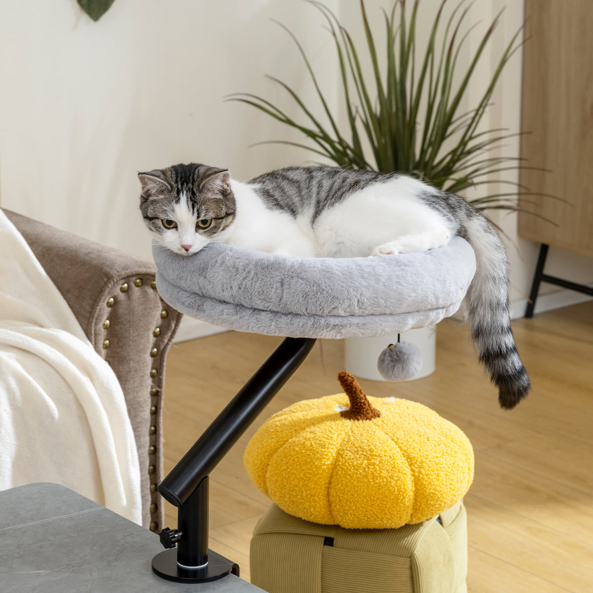 Lit de Bureau pour Chat Rotation de 360° et Hauteur Réglable, Lit pour Chat Lavable avec Balle Jouet,  35x35x48cm, Gris-1