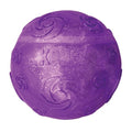 KONG SQUEEZZ CRACKLE BALL