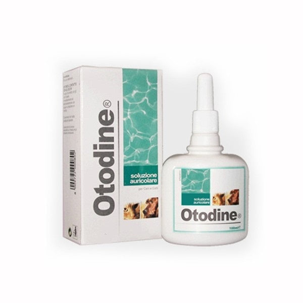 ICF OTODINE SOLUZIONE DETERGENTE AURICOLARE 100 ML.
