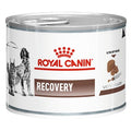 ROYAL CANIN DOG/CAT RECOVERY 195 GR.