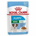 ROYAL CANIN DOG MINI PUPPY IN SALSA 85 GR.