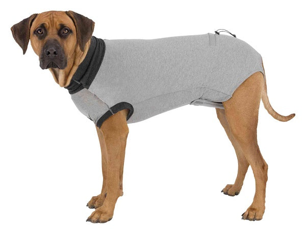 TRIXIE BODY PROTETTIVO PER CANI TG.S (35 CM.) GRIGIO