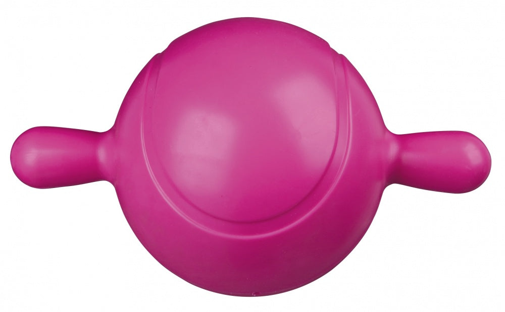 TRIXIE GIOCO PALLA GALLEGGIANTE IN TERMOPLASTICA 22 CM.