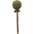 TRIXIE MATATABI LOLLY CON CATNIP 11 CM.