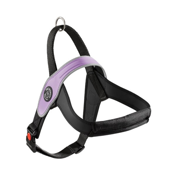 TREPONTI PETTORINA PRIMO SILVER TG.M (10-20 KG.) LILLA