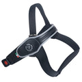 TREPONTI PETTORINA PRIMO SILVER TG.L (20-30 KG.) NERA