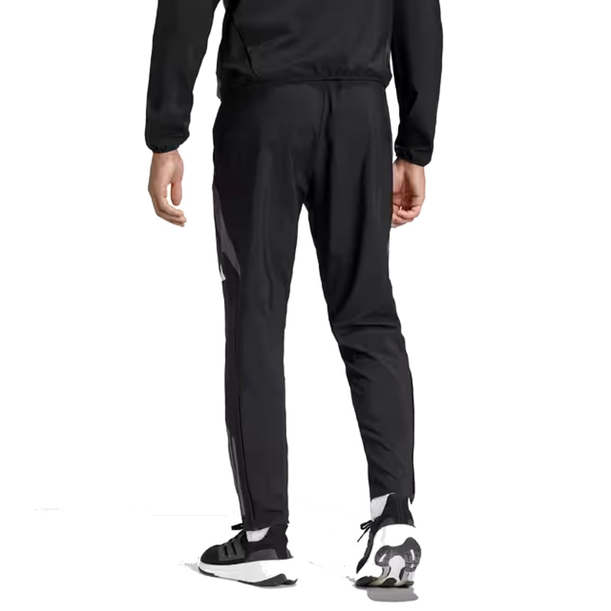 Algeria training presentation Soccer tracksuit 2024/25 - Adidas-4