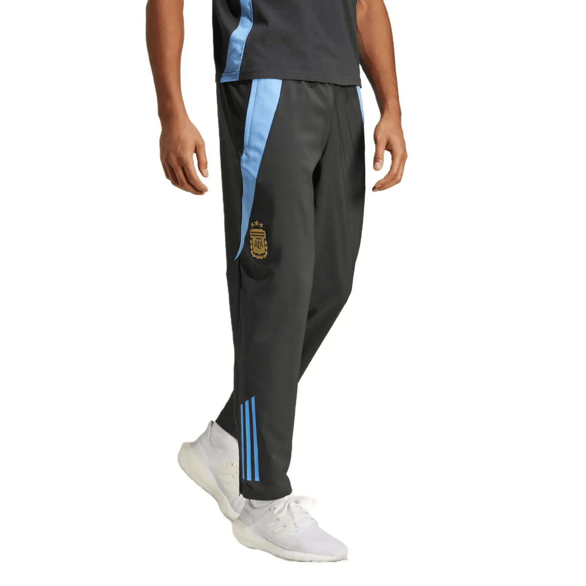 Argentina training presentation Soccer tracksuit 2024/25 - Adidas-3