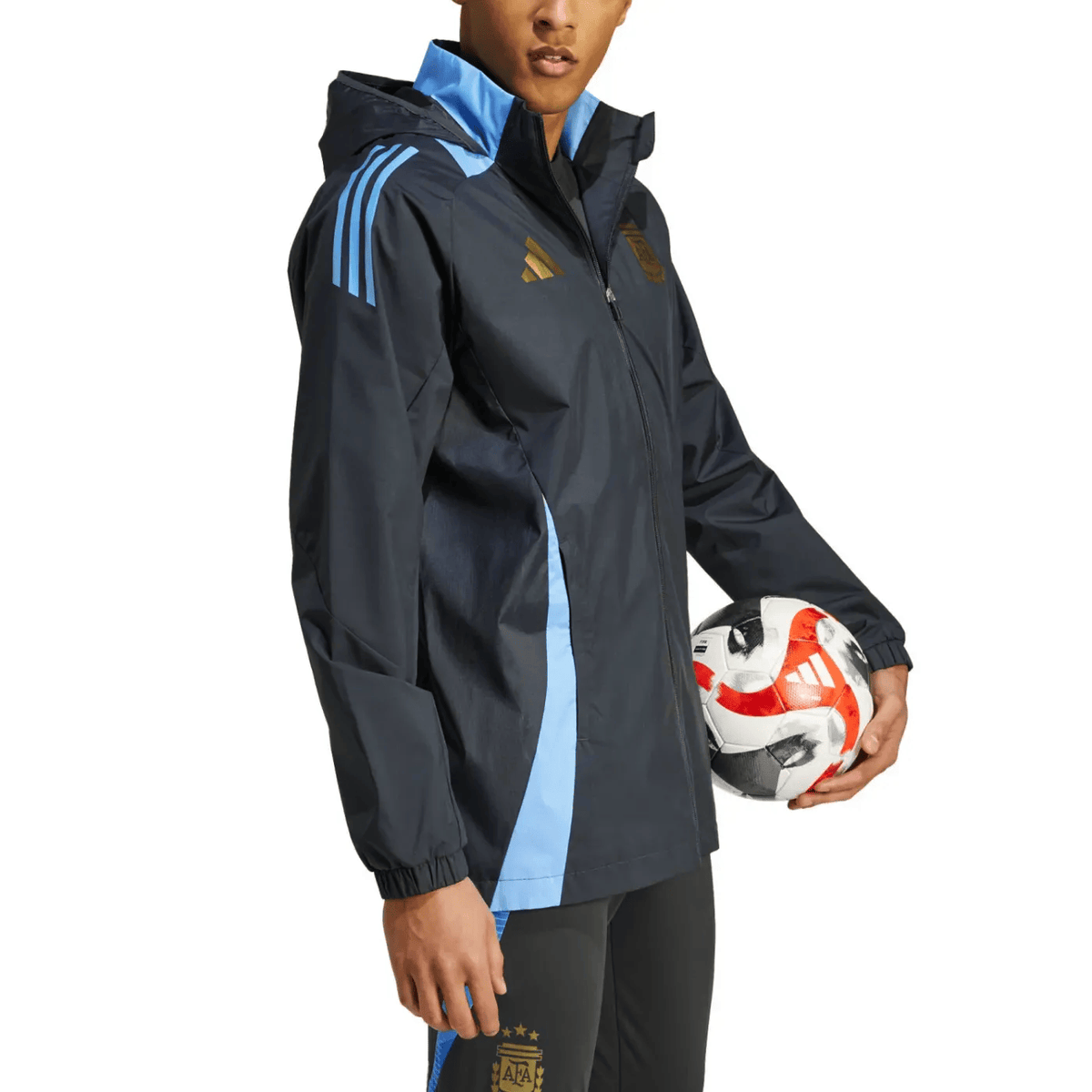 Argentina soccer training rain jacket 2024/25 - Adidas-1