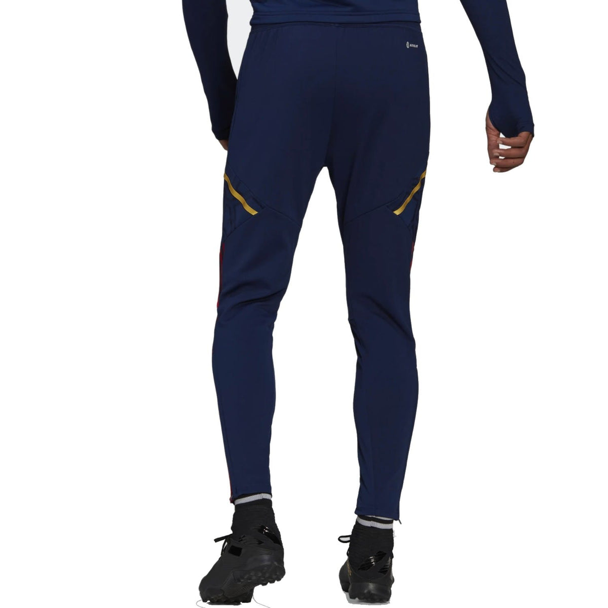 Ajax Amsterdam training presentation Soccer tracksuit 2022/23 - Adidas-2