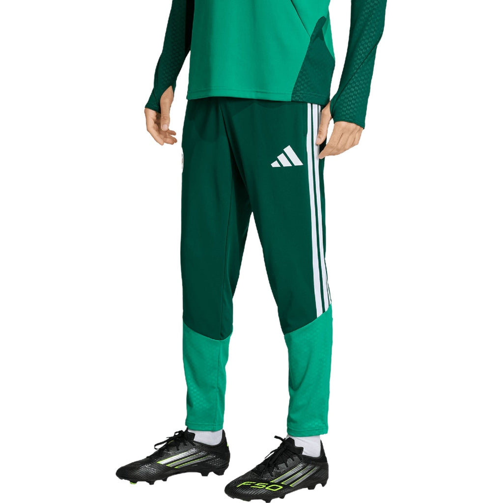 Algeria training technical soccer tracksuit 2026/27 - Adidas-2