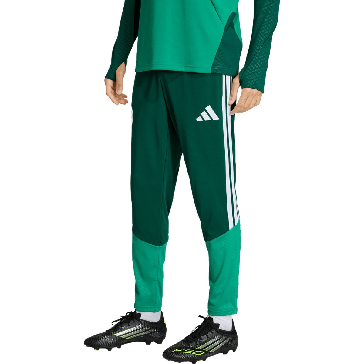 Algeria training technical soccer tracksuit 2026/27 - Adidas-2