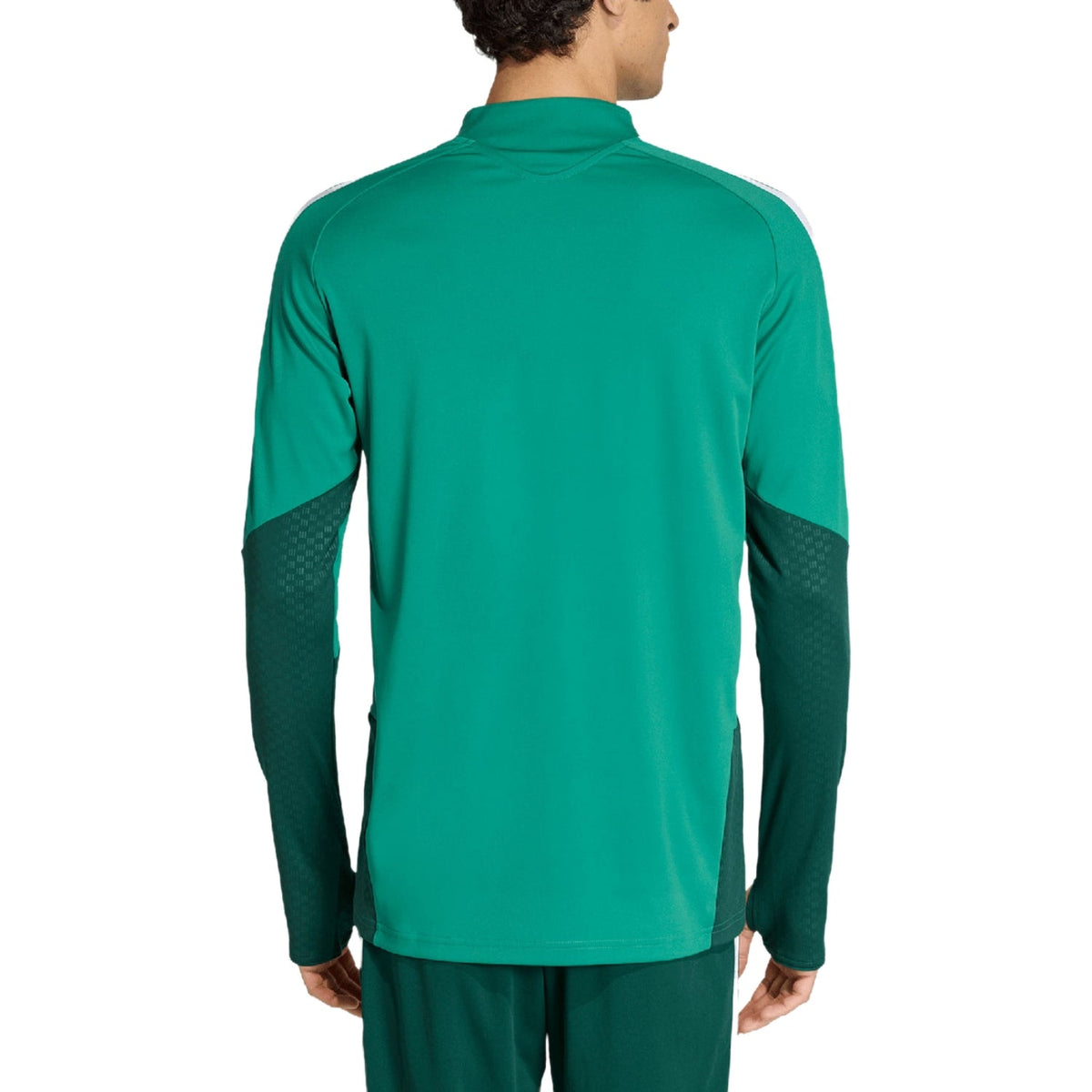 Algeria training technical soccer tracksuit 2026/27 - Adidas-4