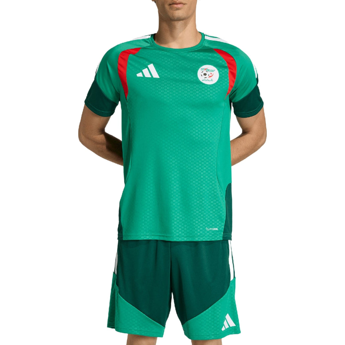 Algeria s/s players training soccer set 2026/27 - Adidas-0