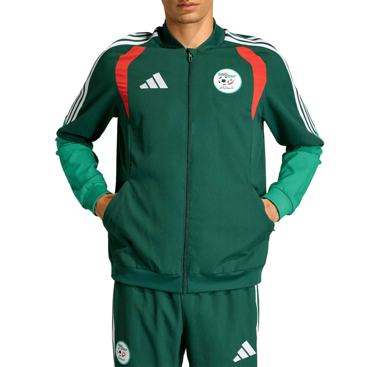 Algeria training presentation soccer tracksuit 2026/27 - Adidas-0