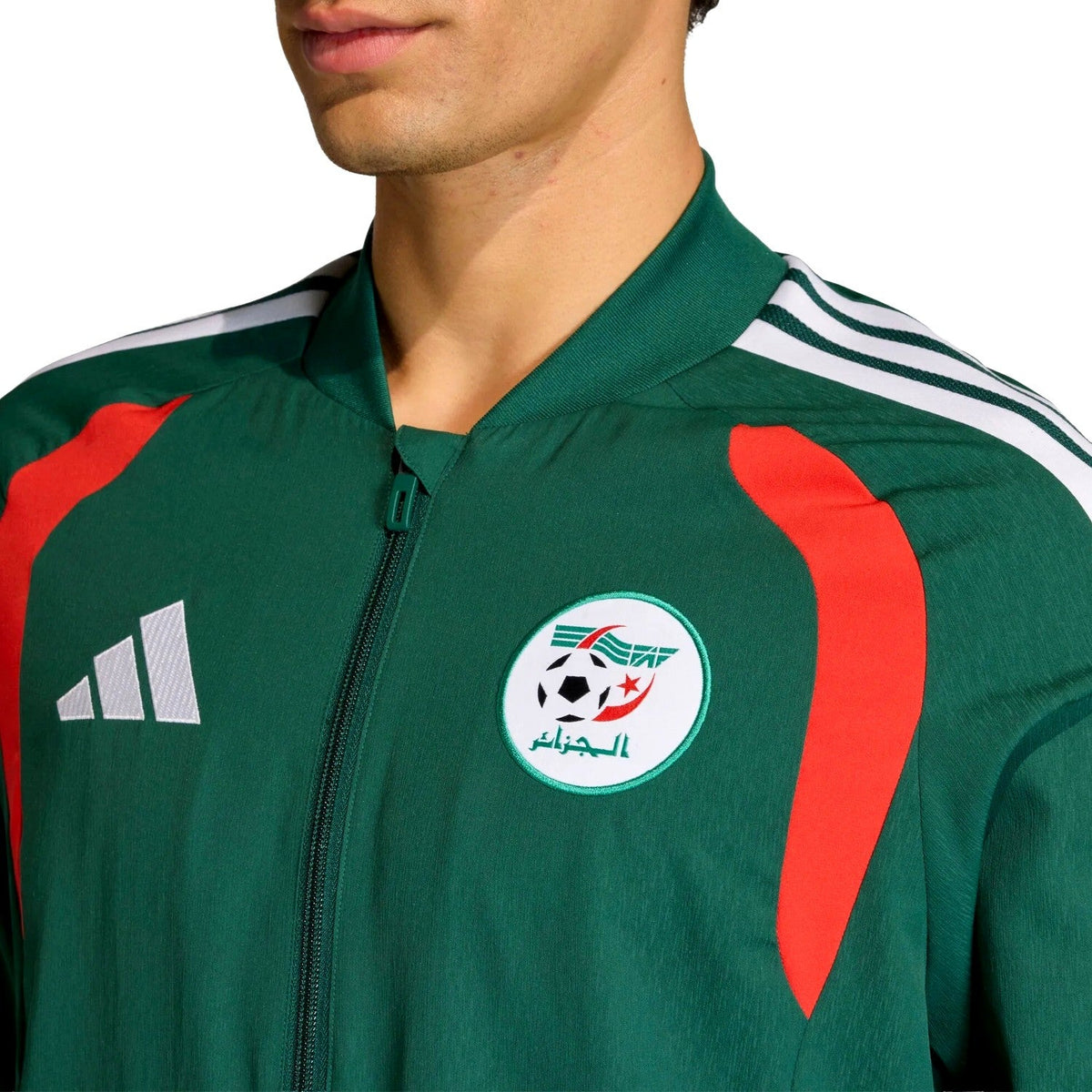 Algeria training presentation soccer tracksuit 2026/27 - Adidas-4