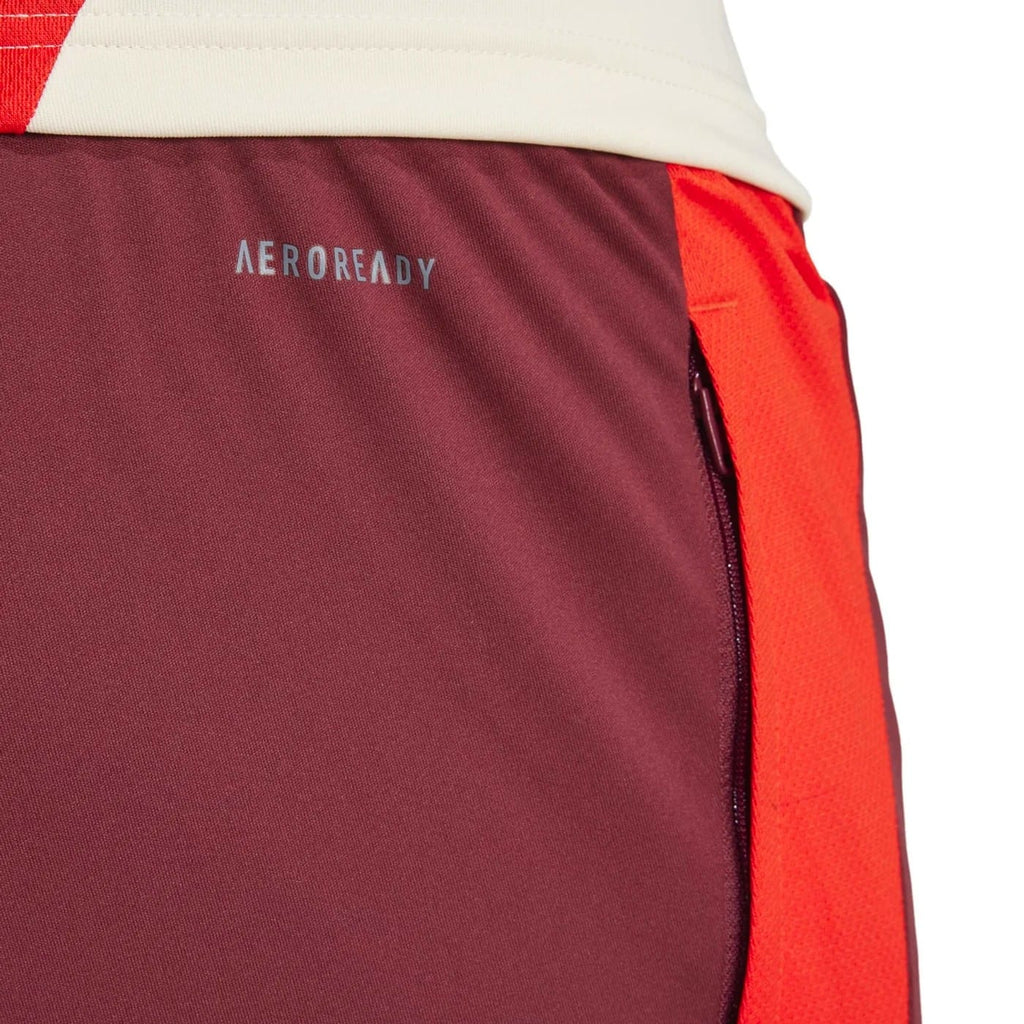 Bayern Munich UCL training technical tracksuit 2024/25 - Adidas-1