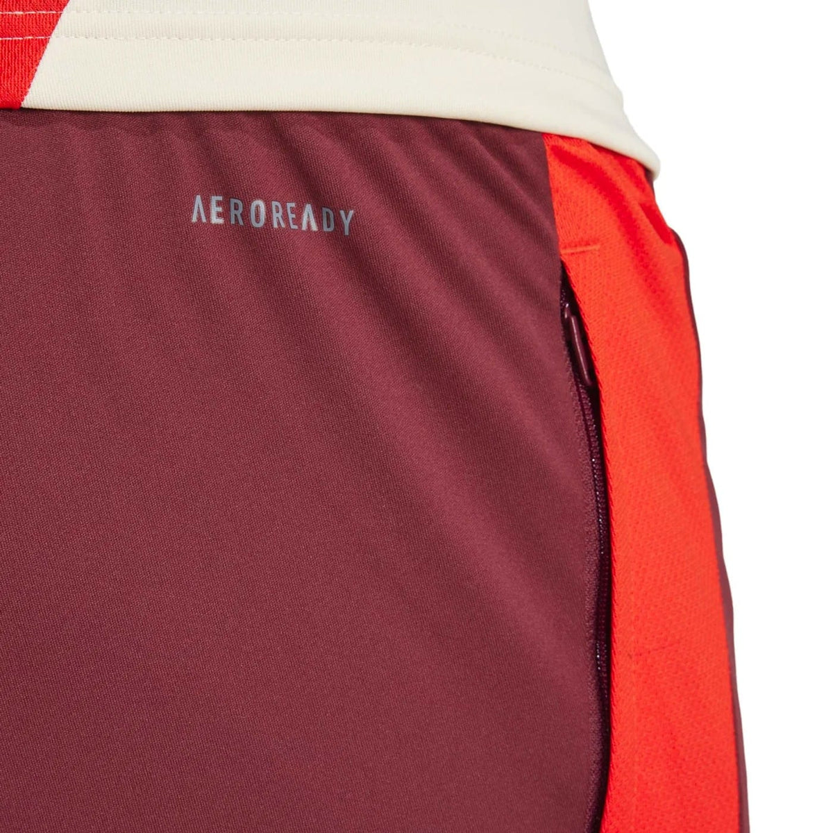 Bayern Munich UCL training technical tracksuit 2024/25 - Adidas-1