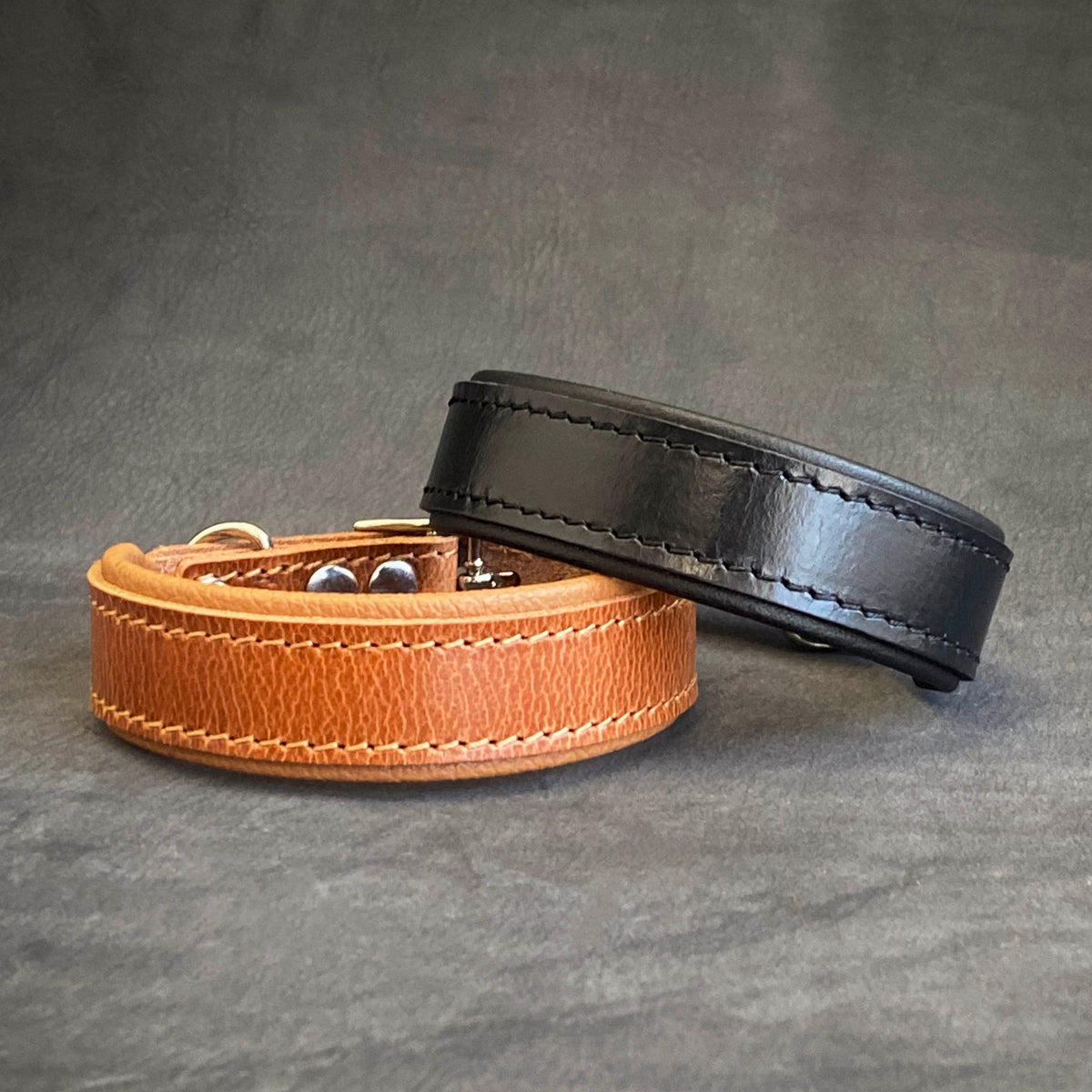 Clean Puppy Collar-1