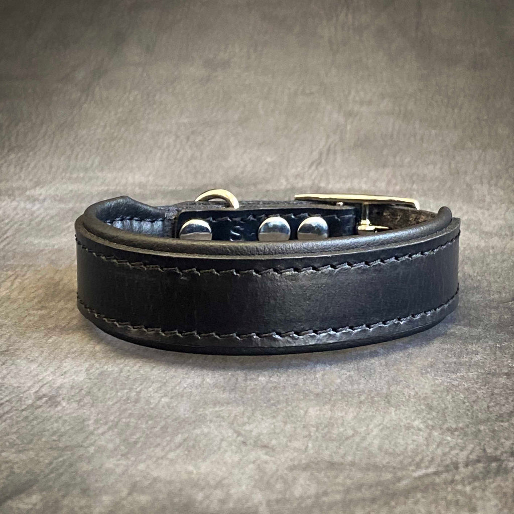 Clean Puppy Collar-2