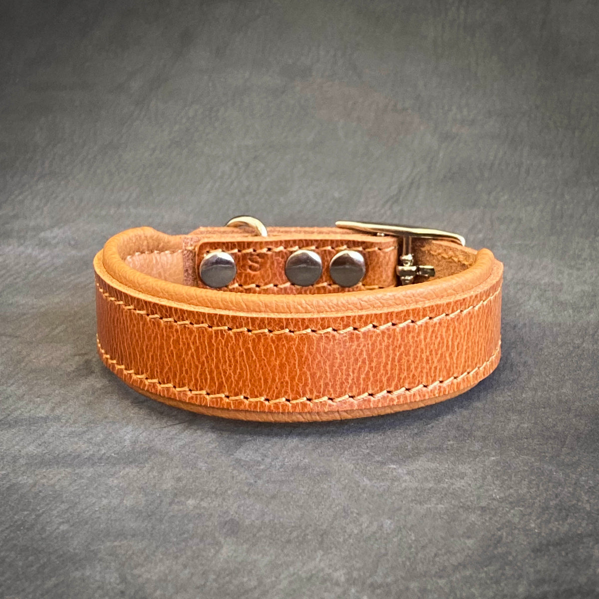 Clean Puppy Collar-3