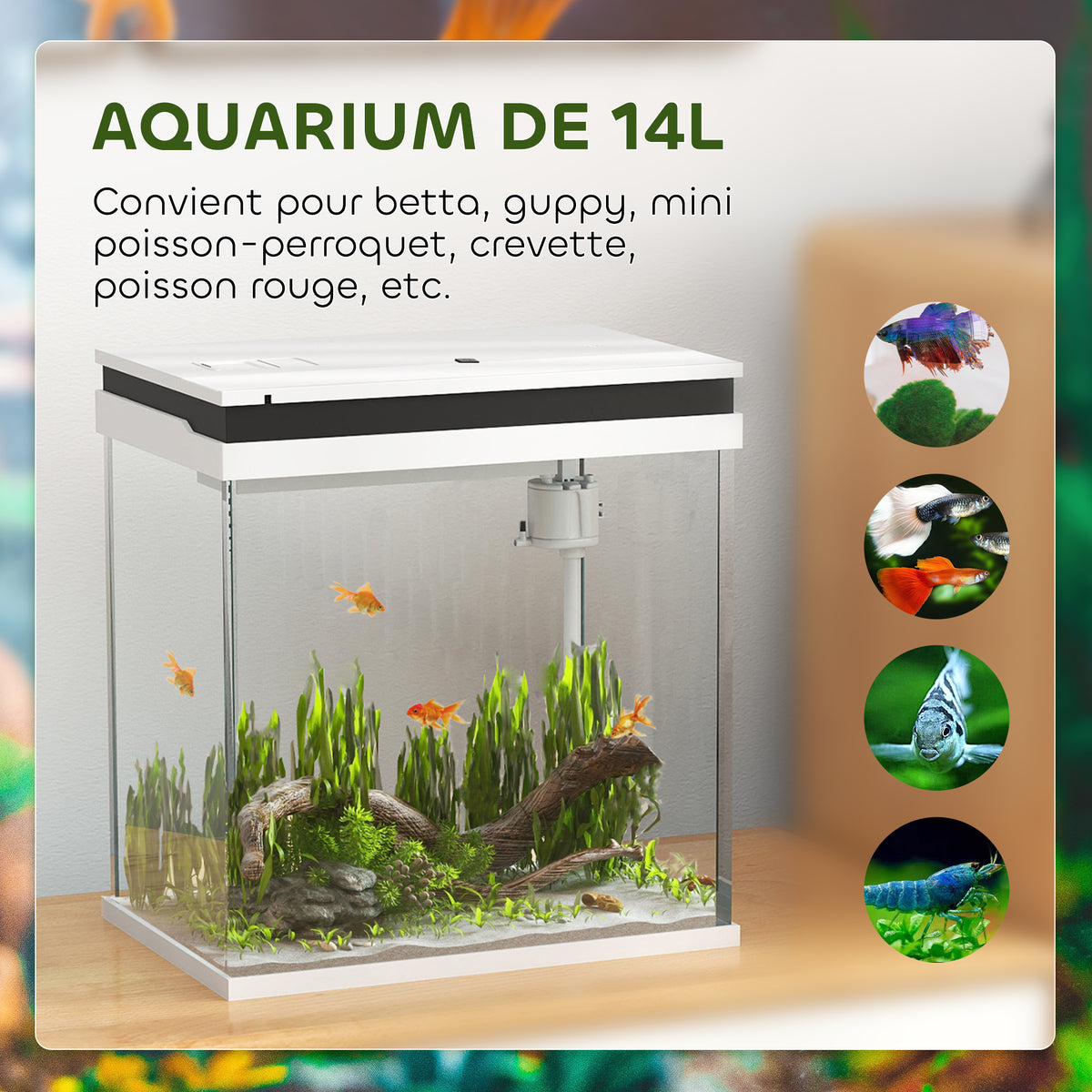 Petit aquarium complet 14L aquarium en verre avec système de filtration éclairage LED pompe à eau 30 x 20 x 33 cm blanc-4