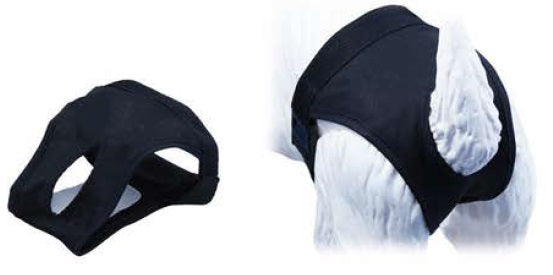 GLORIA MUTANDINA PER CANE FEMMINA TG. 2 (32-39 CM.)