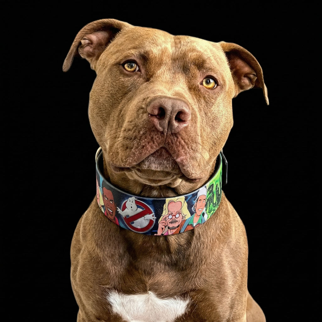 The “Ghosts” collar -LIMITED-3