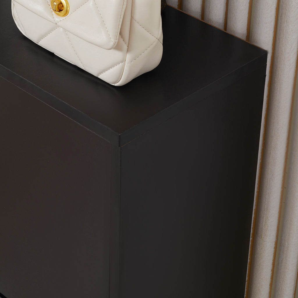 Armoire à Chaussures Meuble à Chaussures dim. 60L x 24l x 80H cm 2 Portes abattantes Noir-9