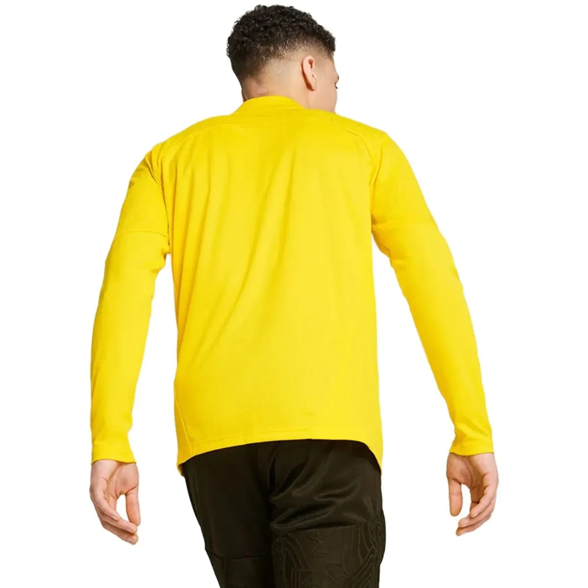 BVB Borussia Dortmund training technical soccer tracksuit 2024/25 - Puma-2