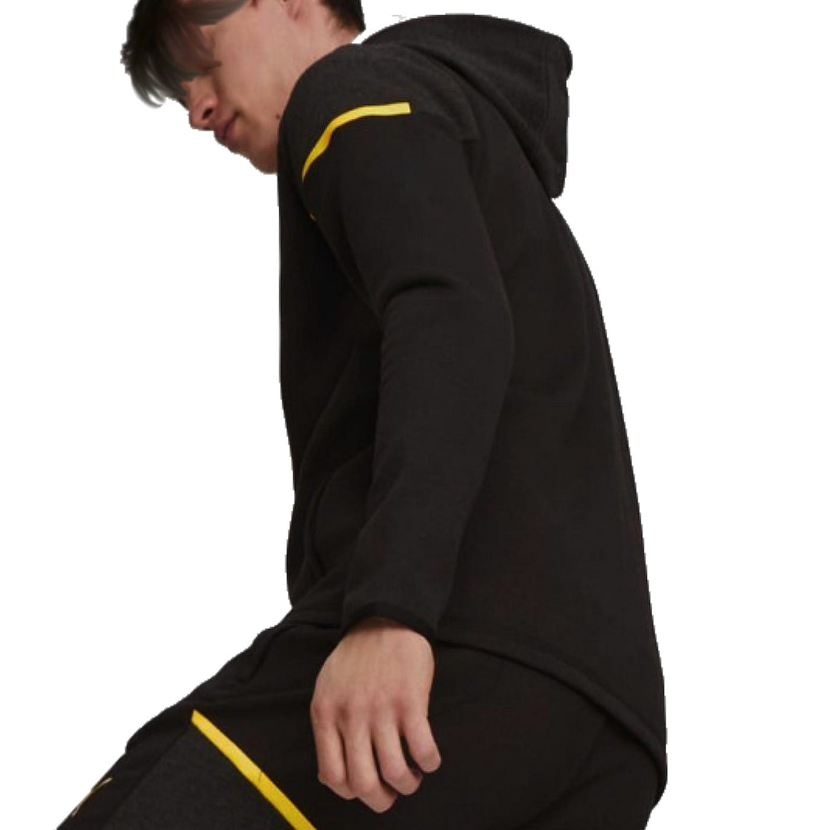 Borussia Dortmund Casual hooded presentation tracksuit 2023/24 - Puma-4