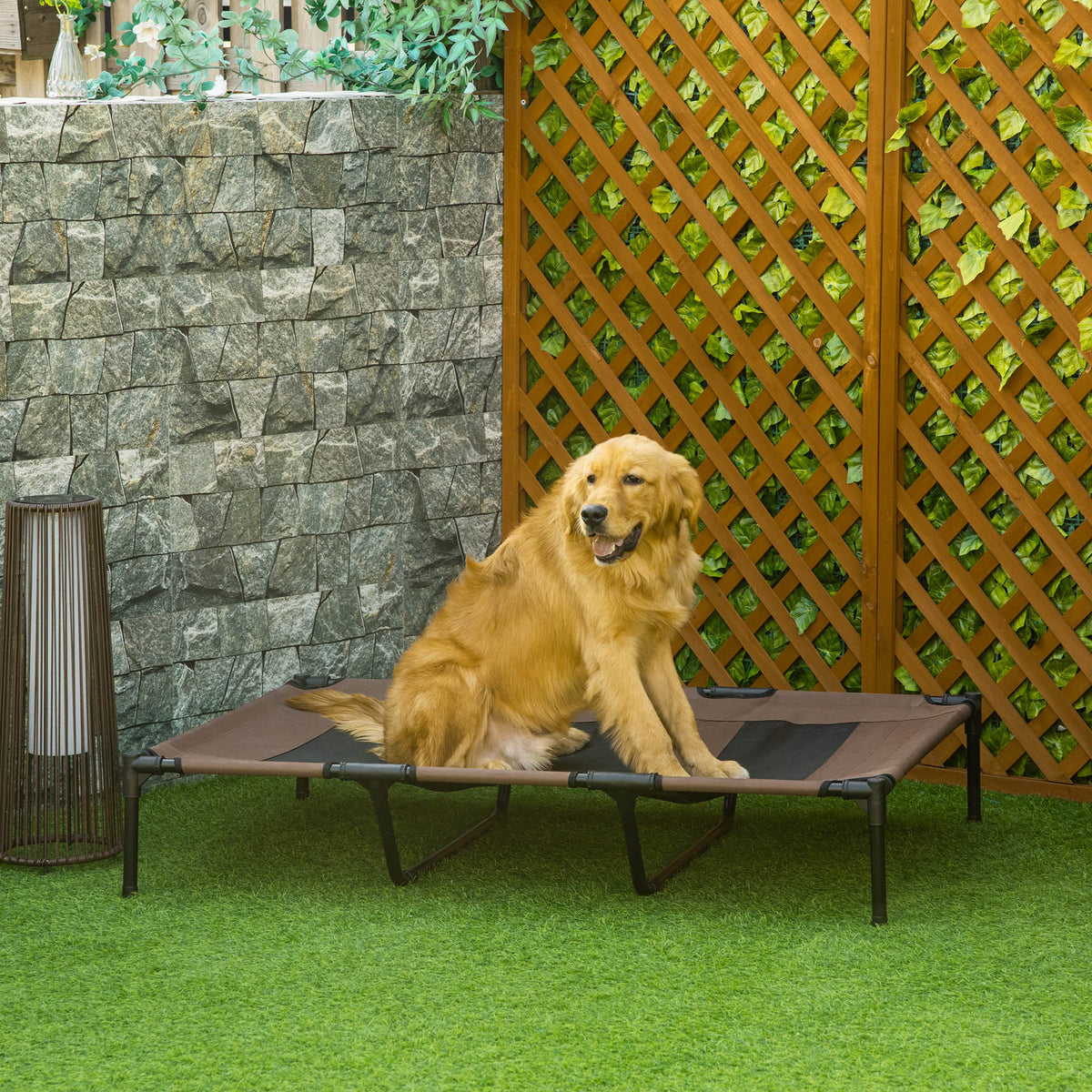 Lot de 2 Lits sur pieds XXL pour chien chat lit de camp animal 122L x 92l x 23H cm marron clair-1