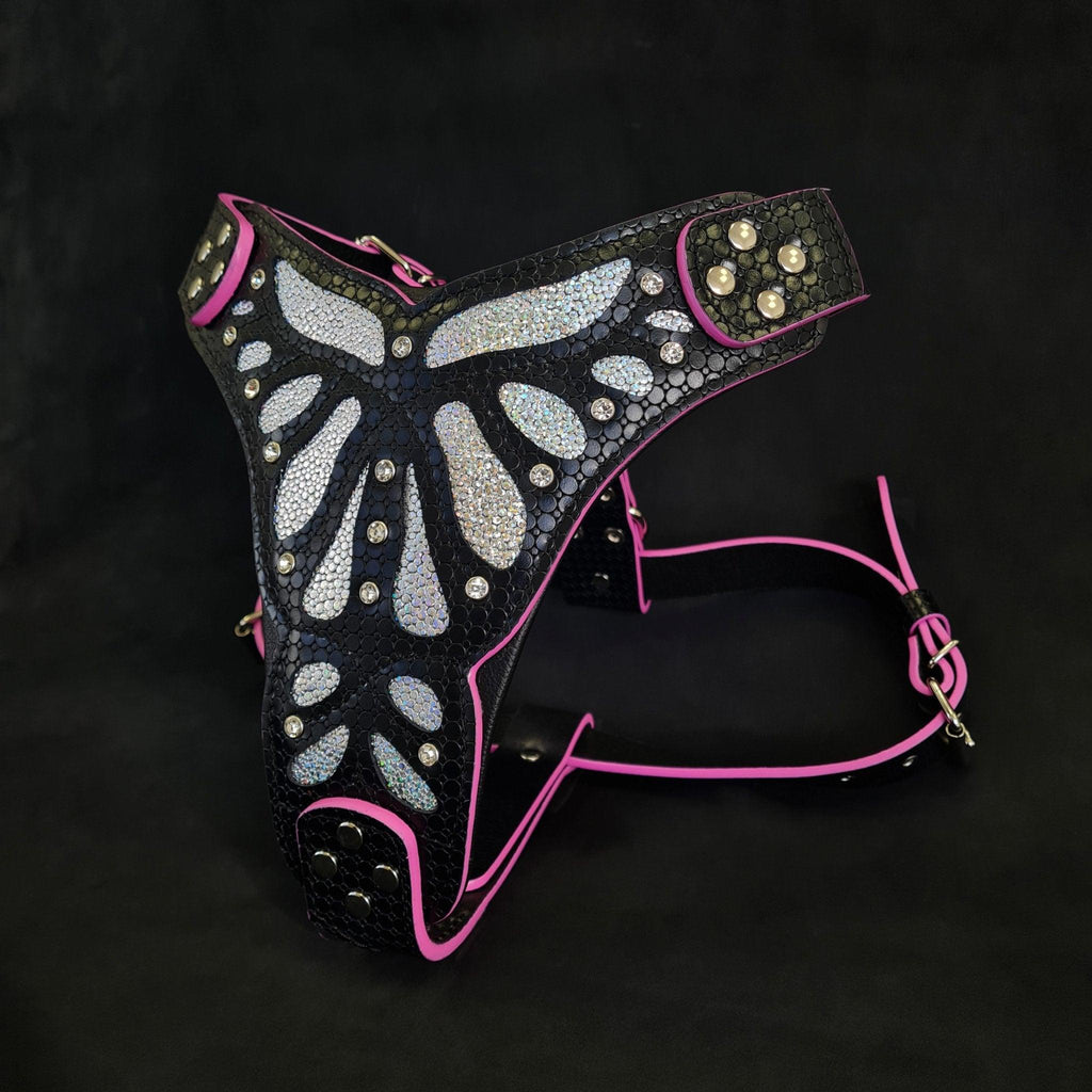 The ''Ariel'' harness-1