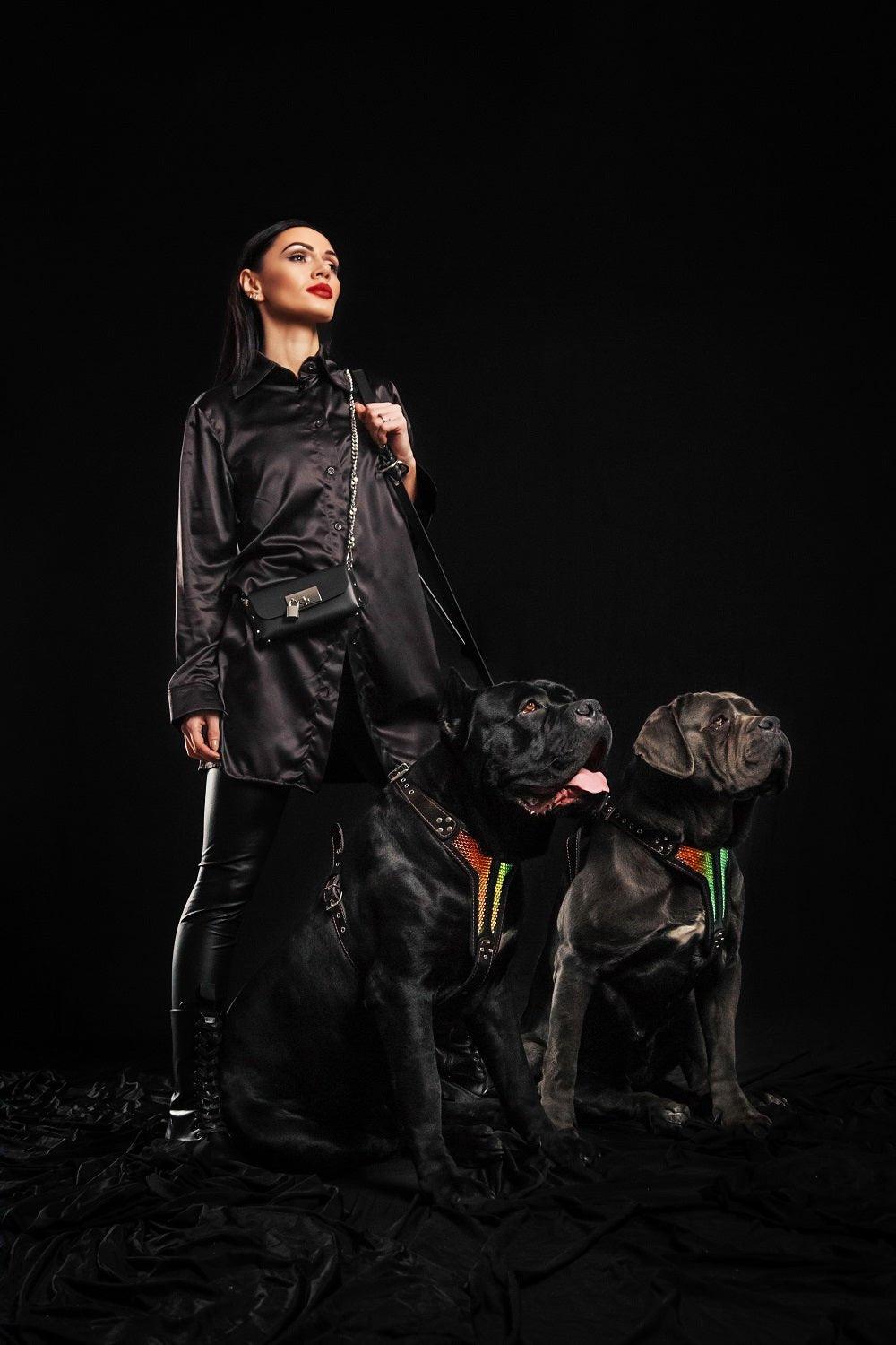The ''D`Albertis'' harness LIMITED-4