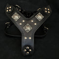 The "Eros" all Black Harness-0