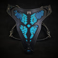 The ''Morelia Python'' harness-0