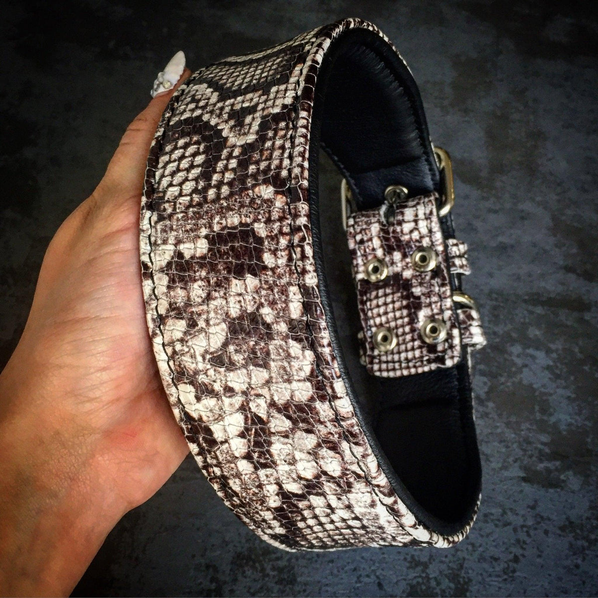 The ''Rock Python'' collar-1