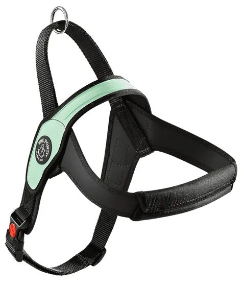 TREPONTI PETTORINA PRIMO ONYX TG.XXL (40-60 KG.) MENTA