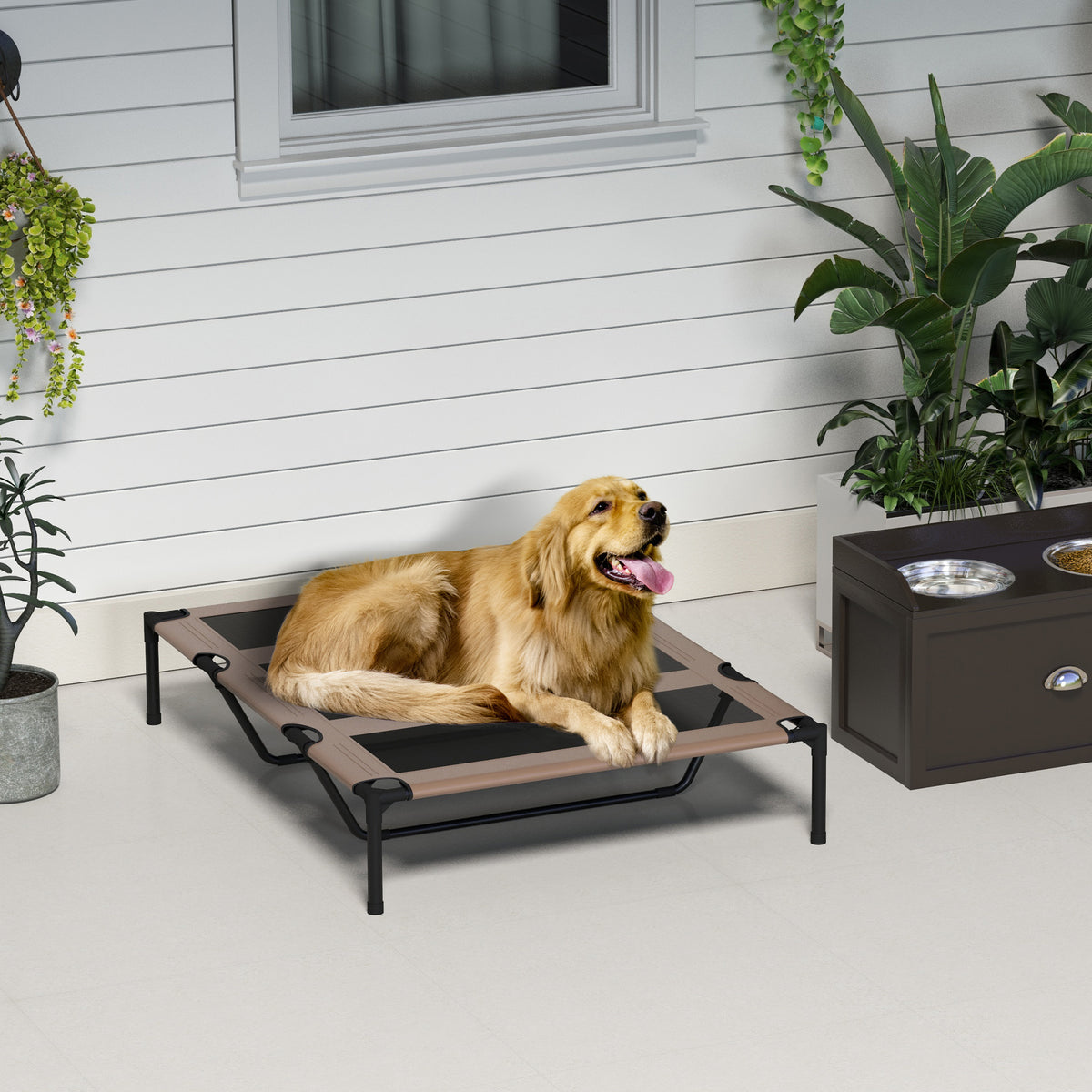 Lot de 2 Lits sur pieds XXL pour chien chat lit de camp animal 122L x 92l x 23H cm marron clair-8