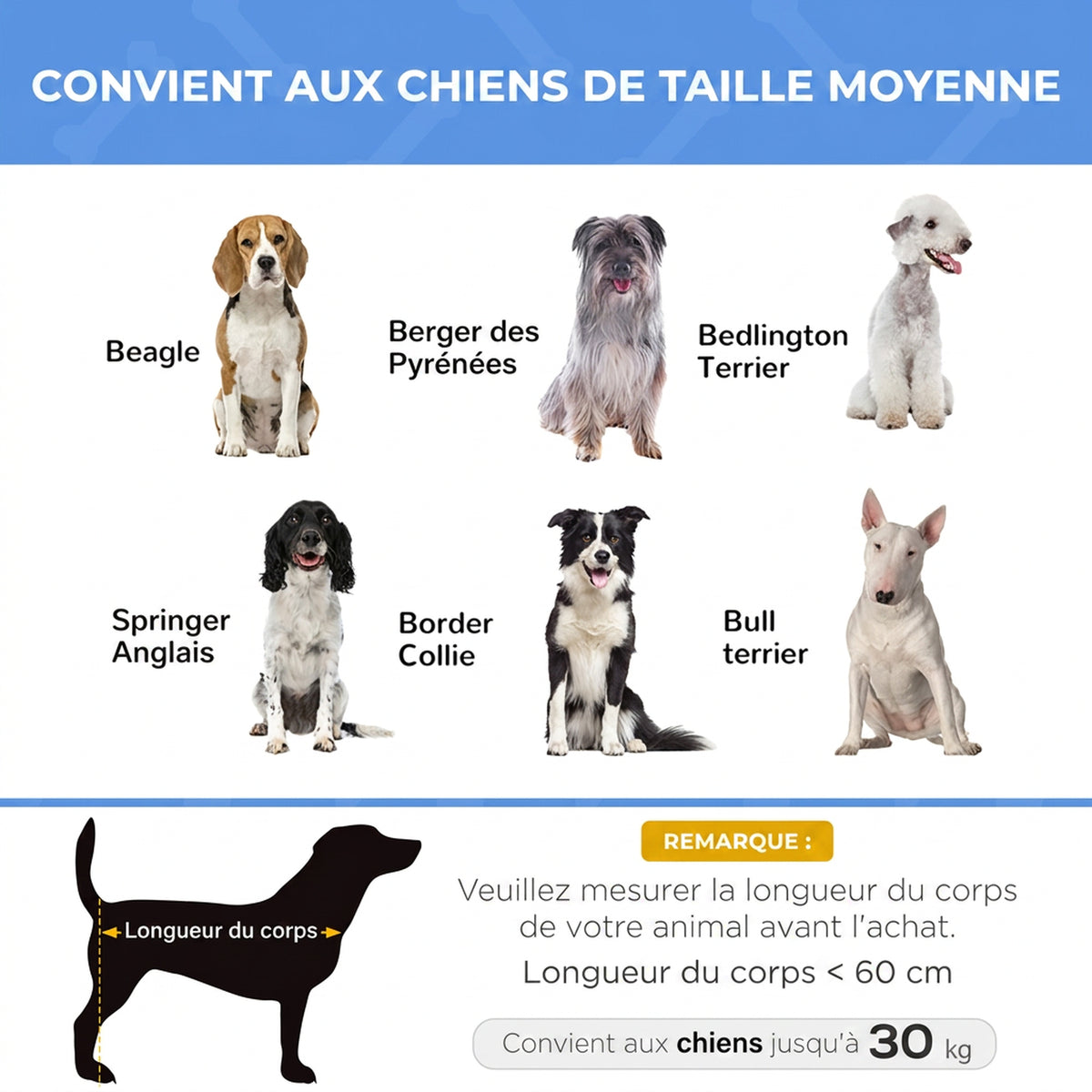 Lit surélevé pour chien lit surélevé rafraîchissant pour chien tissu Oxford sac de transport inclus 92 x 76 x 18 cm bleu-6