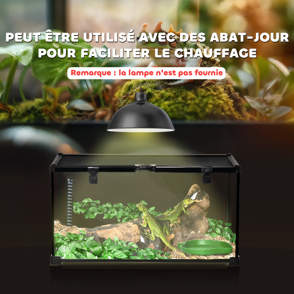 Boîte à reptiles boîte d'élevage de reptiles habitat de terrarium transparent couvercle coulissant noir-7